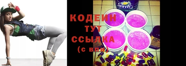 шишки Абаза