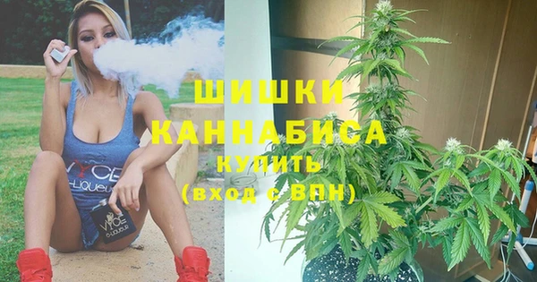 индика Абдулино