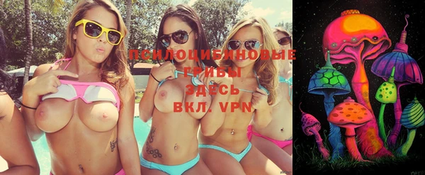 индика Абдулино