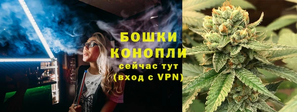 шишки Абаза