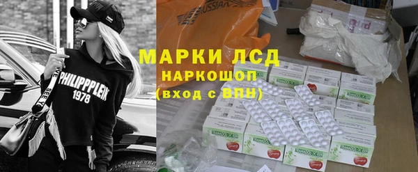 шишки Абаза